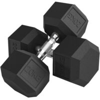 Kurzhanteln Set für Krafttraining Zuhause 2 x 20kg Gusseisen
