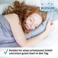 Lattenrost DreamBase 140×200 cm Massivholz mit 14 Latten