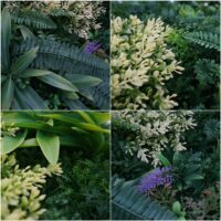 Künstliche Pflanzenwand 50x50 cm Wanddeko für Innen und Außen