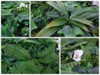 Künstliche Pflanzenwand 1 m² Farn Efeu Wanddeko Indoor Outdoor