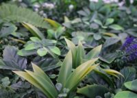 Künstliche Pflanzenwand 1 m² grün mit lila Blüten Indoor Outdoor