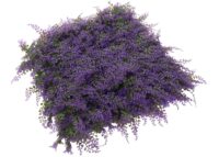 Künstliche Pflanzenwand lila grün 1 m² Wandpaneel Indoor Outdoor