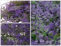 Künstliche Pflanzenwand lila grün 1 m² Wandpaneel Indoor Outdoor