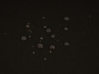 Poly-Rattan Gartenbank Halden braun meliert Kissen schwarz