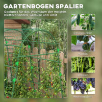 Rankbogen gross mit Vogelschutznetz für den Garten aus Metall