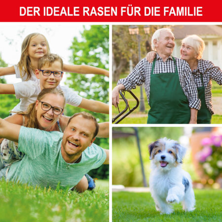 Hochwertige Grassamen-Mischung für dichten, grünen Rasen.
