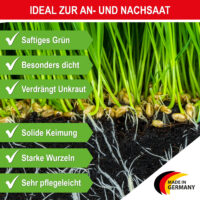 Hochwertige Grassamen-Mischung für dichten, grünen Rasen.