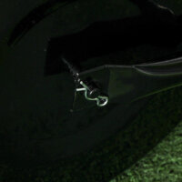 Eine schwarze Rasenwalze und Gartenwalze aus Metall mit 38 Litern Fassungsvermögen für Wasser oder Sand und einem U-Griff.