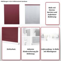 Rollo Fensterrollo Seitenzugrollo blickdicht Verdunkelung 70x160cm creme