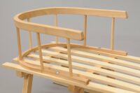 Schlitten mit Winterfusssack & Rückenlehne Schwarz