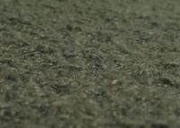 Sitzbank Esszimmerbank Polsterbank Rückenlehne Bouclé Metall 160cm grün