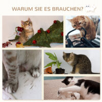 Beige-cremeweisser Sprungturm mit mehreren Kratzbäumen für Katzen, bietet vielfältige Kletter- und Kratzmöglichkeiten.