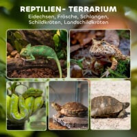 Terrarium für Reptilien mit wasserdichtem Boden und Schloss Glas