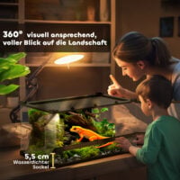Terrarium für Reptilien mit wasserdichtem Boden und Schloss Glas