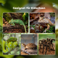 Glas- & Metall-Terrarium für Reptilien, 50x30x35cm.