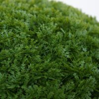 Künstlicher Thujabusch Ø32 cm Outdoor Lebensbaum Dekopflanze