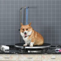 Drehbarer Trimmtisch aus Aluminium mit rutschfester Oberfläche.