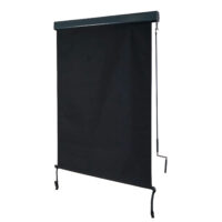 Vertikalmarkise schwarz 250x100 cm Sichtschutz Rollo UV-Schutz