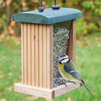 Vogelfutterhaus Grünspitz mit Plexiglasscheiben und Aufhängung.