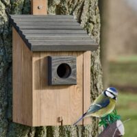 Vogelhaus NaturNest Pultdach wetterfest und robust