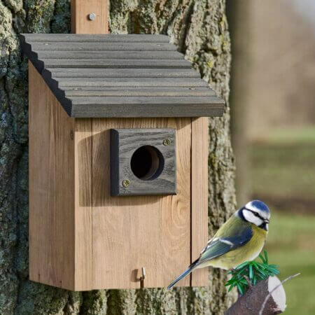 Vogelhaus NaturNest Pultdach wetterfest und robust