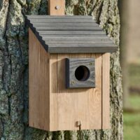 Vogelhaus NaturNest Pultdach wetterfest und robust