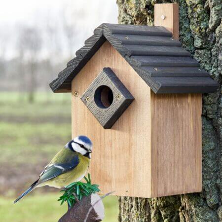 Vogelhaus NaturNest Satteldach wetterfest und robust