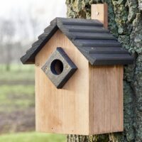 Vogelhaus NaturNest Satteldach wetterfest und robust