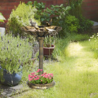 Vogeltränke Vogelbad für Garten antiker Look Kunststoff bronzefarben
