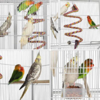 Große Vogelvoliere mit Herzverzierung, mehreren Sitzstangen und Vogelpaar beim Fressen – dekorativer und funktionaler Vogelkäfig mit viel Platz für mehrere Vögel.