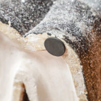 Weihnachtsdeko Rentier Figur 52cm mit LED-Laterne Metall In-/Outdoor