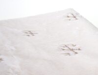 Wohndecke Tagesdecke Kuscheldecke flauschig Pailletten 150x120cm weiss